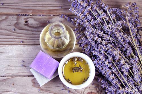 ��������������޹�²ݲ��������һ��ʮ ����ƽ̨����ʵ���������Ժ֧�־���