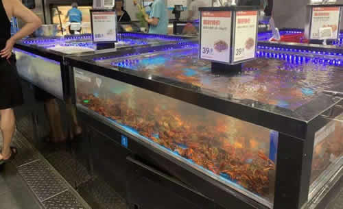 �̳��ŵ꺣�ʹ�̨�ػ�ˤ����������������Ժ�����֧��