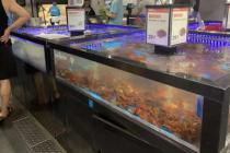 �̳��ŵ꺣�ʹ�̨�ػ�ˤ����������������Ժ�����֧��