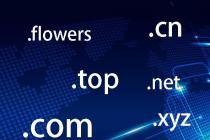 ��ע�ᱣ��������������άȨ������������ע���ͬ��ϵ����