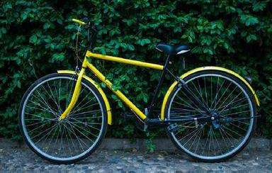 ���ڹ����͹淶�������������г���չ��ָ�������2017��8��1�գ�