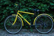 ���ڹ����͹淶�������������г���չ��ָ�������2017��8��1�գ�