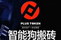 �Plus Tokenƽ̨��չ�������׷�������֯���쵼�������