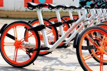 �������������ǡ���һƬ��Ϊ������Խ��Խ��