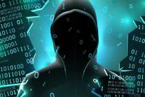 ȫ���������΢�������������ڲ������У����ڿ������۷Ƿ���������Ϊ���������ϳ�