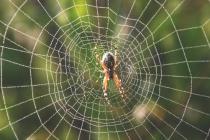 Ӧ�ԡ��������桱���·������·��̽��