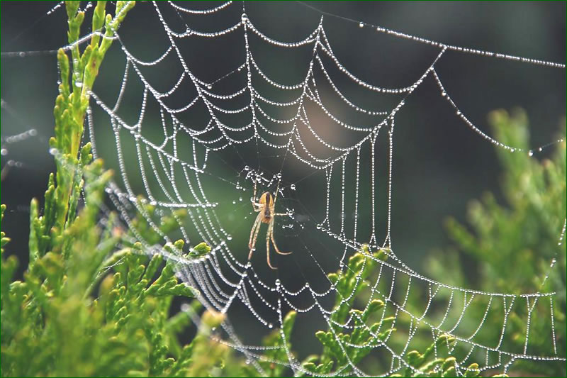 �������漼���Ѽ������Ա��û���ϢĲ����һ��Ժ�϶��乹���ַ����������Ϣ��