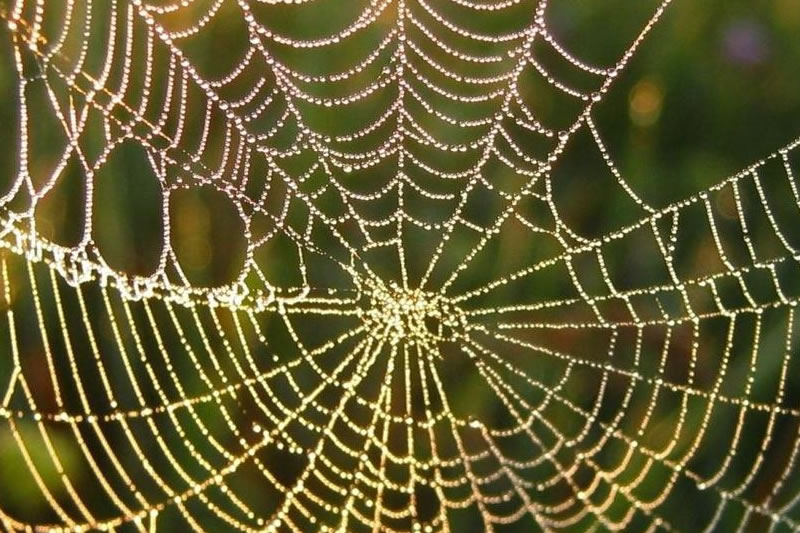 2021�����й���¢�ϴ��꣬��ֹ�������ʱ���������