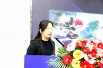 ��վ���ݳ�������Ȩ��ƽ̨�Ƿ�Ҫ�е����Σ�