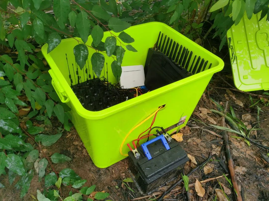 ��߼췢�����������������թƭ������������Ͱ���