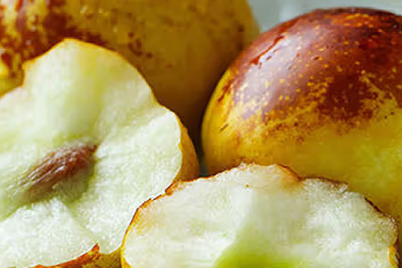 ΢�Ź��ں�Υ��������棬û��Υ�����ò����Է���