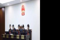 ȫ������AI������Ȩ��һ�����У�ʹ����������δ����Ȩ����25��