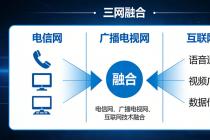 关于三网融合试点工作有关问题的通知（国协办函〔2010〕3号）